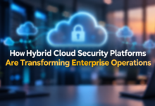 Hybrid Cloud Security Platforms